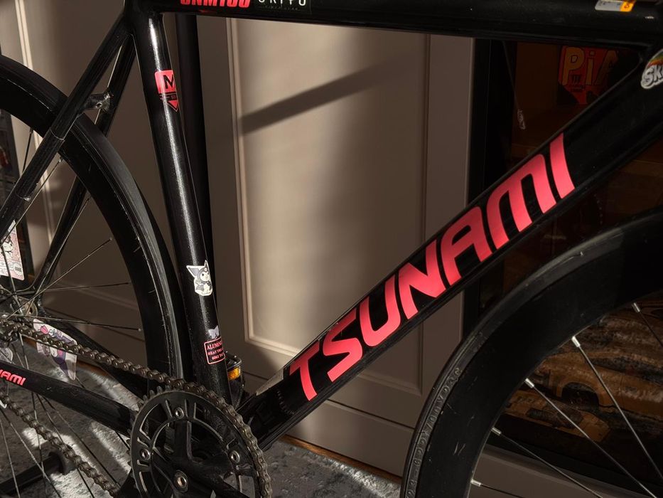 Продаю Tsunami SNM100