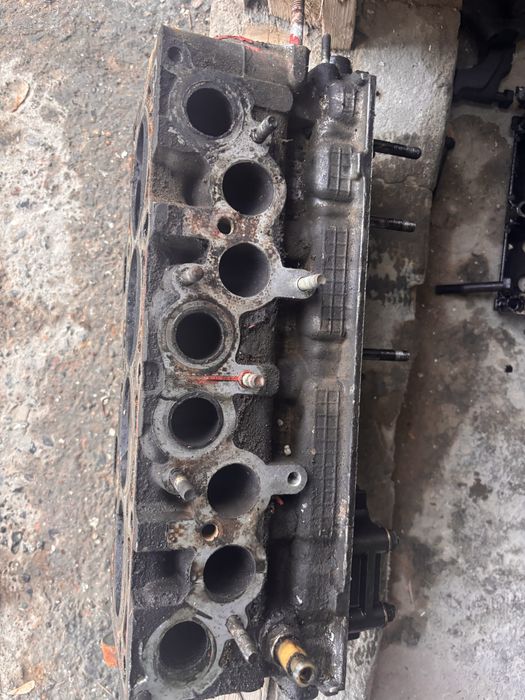 Матор галовка матор