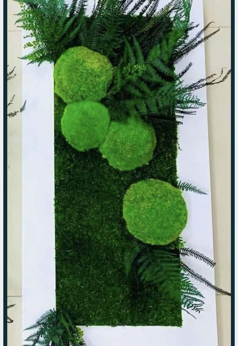 Decoratiuni cu muschi, licheni si plante stabilizate / Pereti verzi