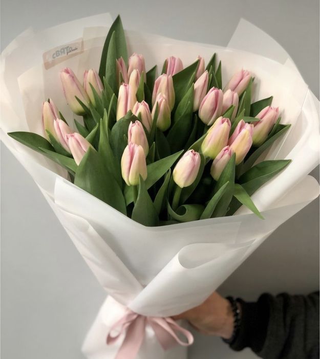 Тюльпаны оптом и в розницу