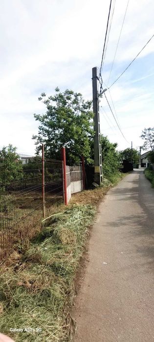 Teren de vanzare Dascalu/Ilfov