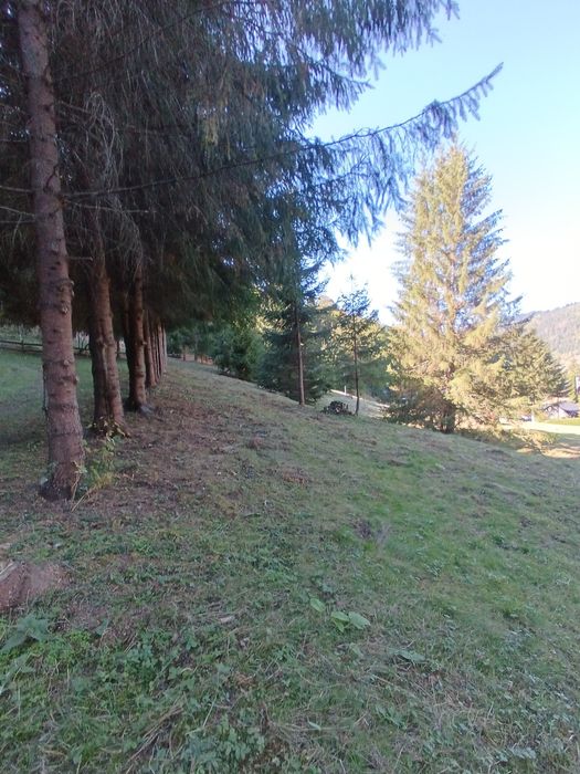 Teren intravilan la munte