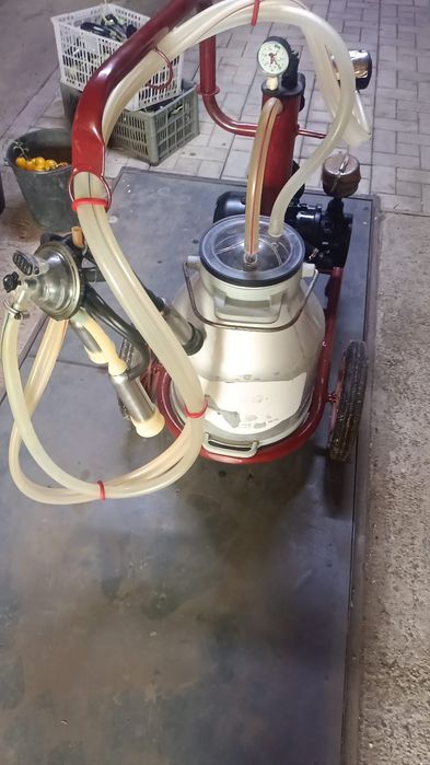 Доильный аппарат турецкий