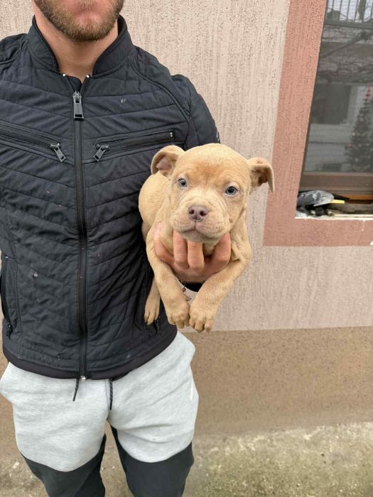 Покет були мъжки