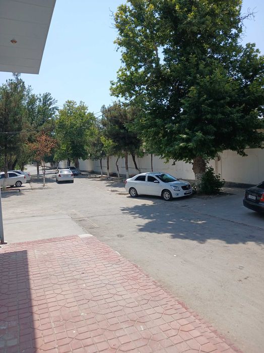 Бино ижарага берилади