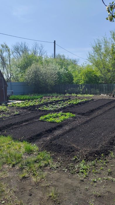 Продам дачу.  С/О Дружба.