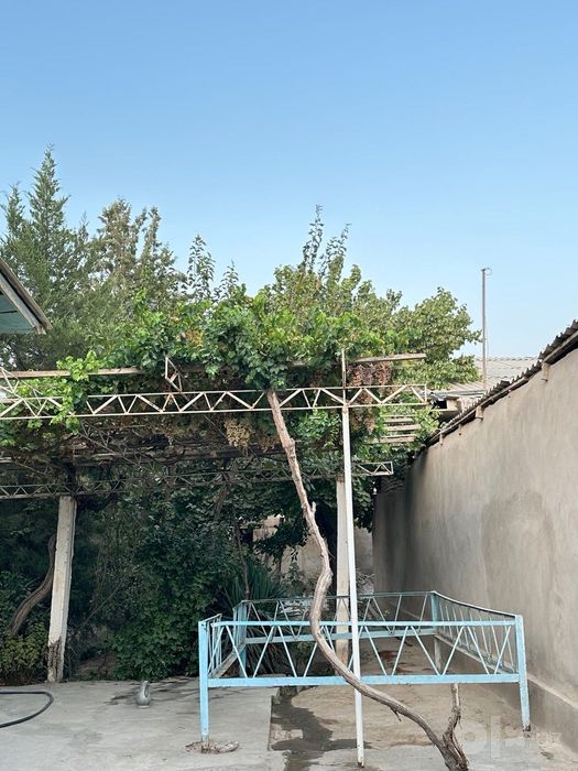 Termiz shahar markazidan xovli uy sotiladi. Продается дом в Термезе.
