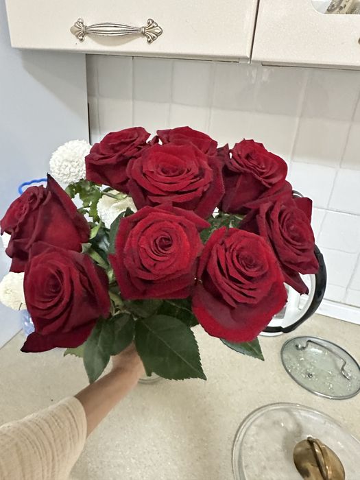 Роза очент красивые