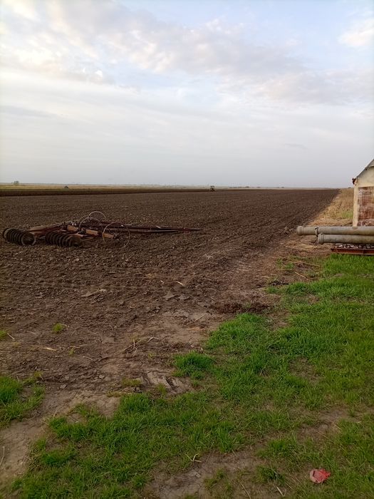 Продам крестьянское хозяйство