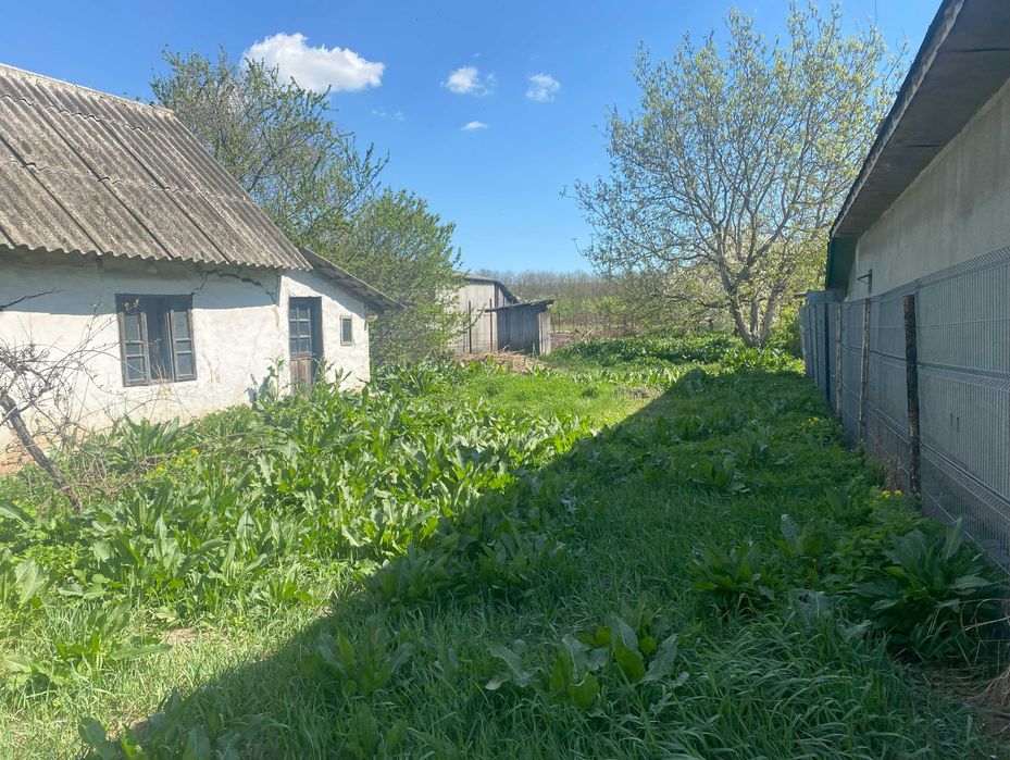 Vand teren Ciolpani  / Schimb cu apartament in Bucuresti