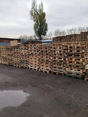 Продам поддоны поллеты