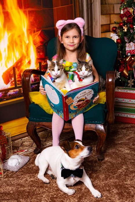 Професионални Коледни  декори за студио