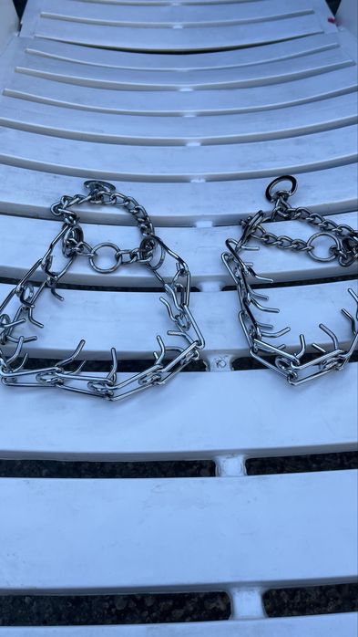 Zgarda de forta caine