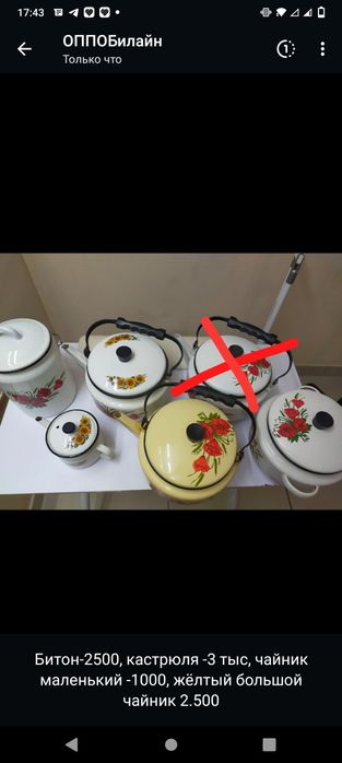 чайники разные ГагаринаБасенова