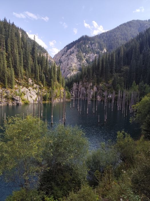 Туры Выезд на природу