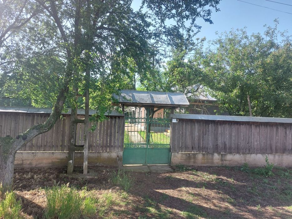 Casa de vânzare cu 2400 mp și pădure de salcâm 3200mp