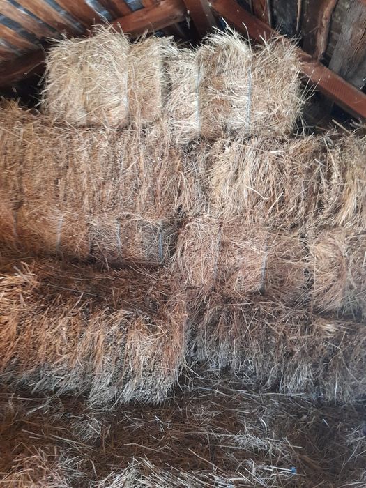 Baloti de fan,nepoluati