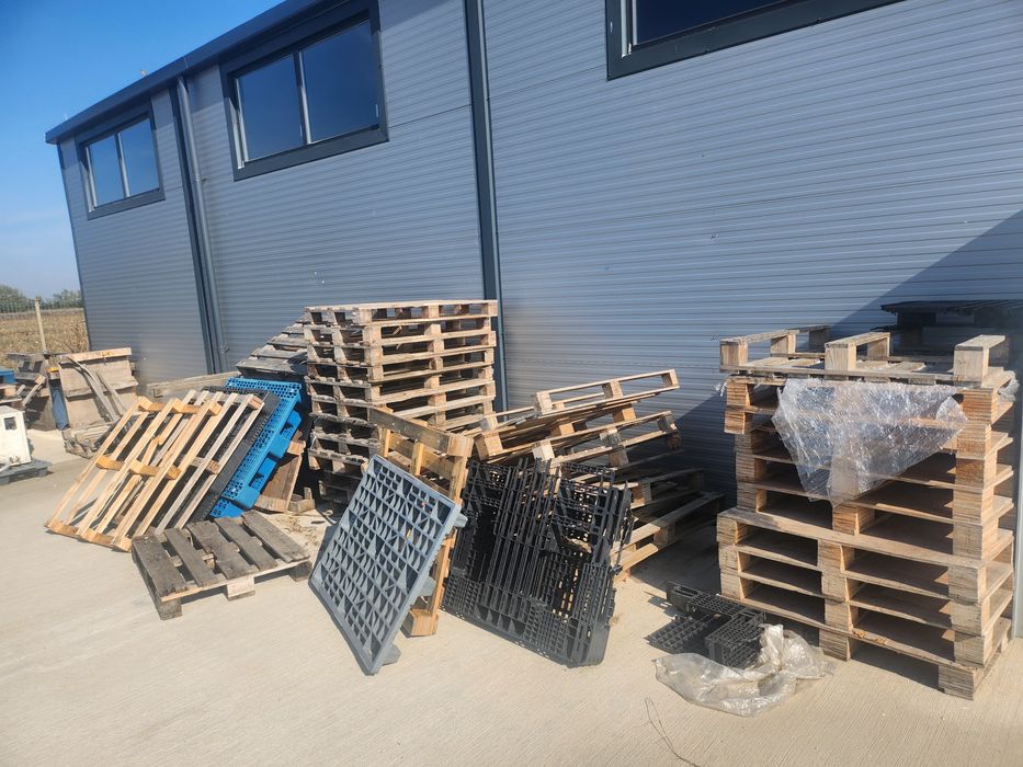 Paleti Euro si Non euro