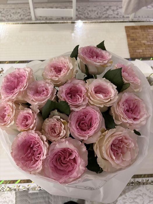 Продам цветы 15шт розы