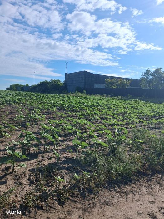 Teren agricol 1000mp, acces asfaltat, 35.000 EUR