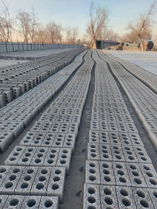 Shlakablok bor 31x16