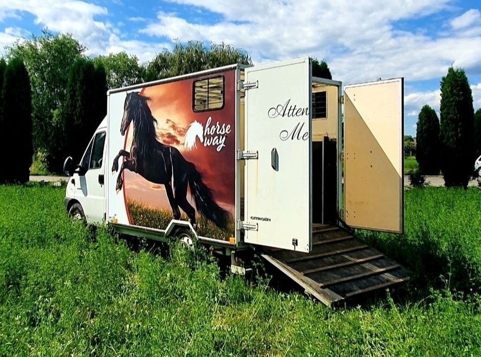 Transport animale vii