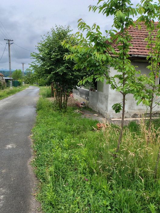 Casă și terenul aferent de 2 ha intravilan