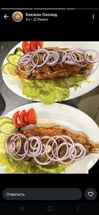 Рыба Балык оптом и розницу