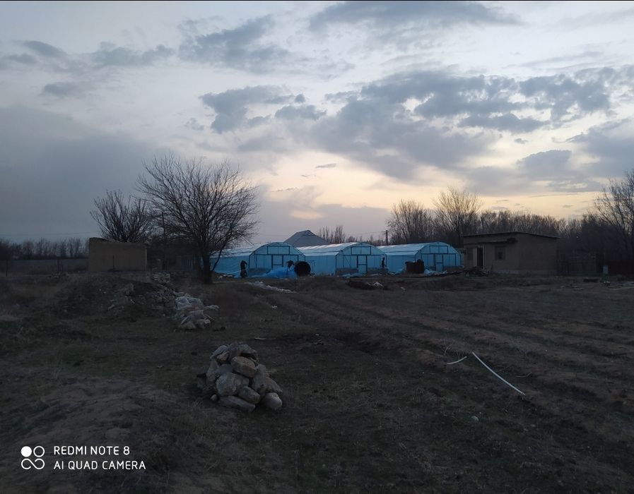 Құсшыатада жер сатылады. 6 соттық жылыжай теплица бар