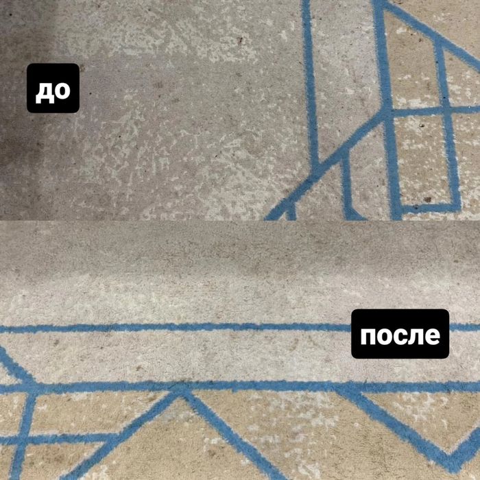 Аренда моющего пылесоса Karcher