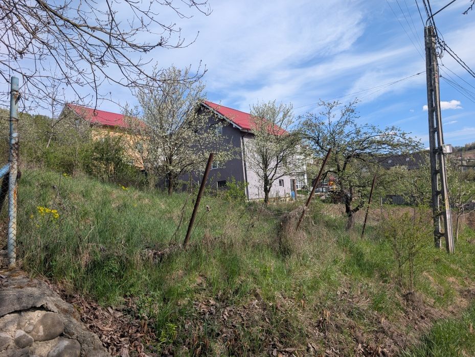 Teren de vânzare Valea Jelnii langa asfalt