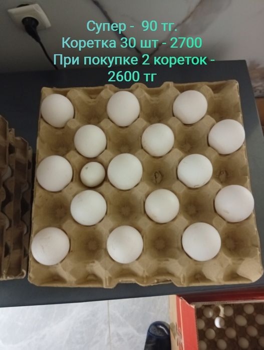 Продам яйца куриные домашние