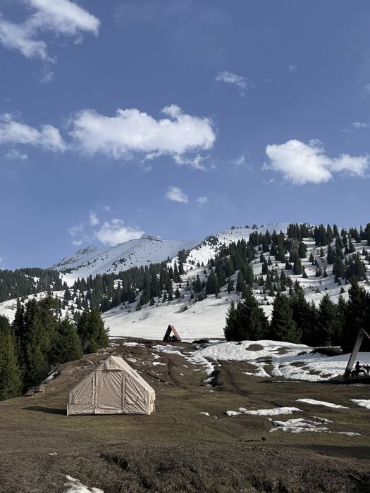 Продается готовый бизнес