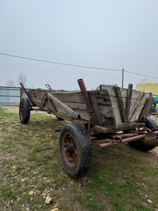 Vand 2 carute  pentru cai