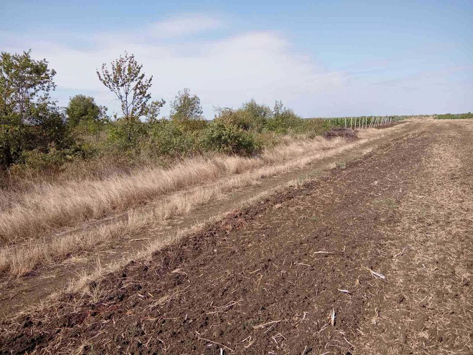 Продава се Парцел в Поморие - 8148 кв.м за 6 €/кв.м - Снимка #13