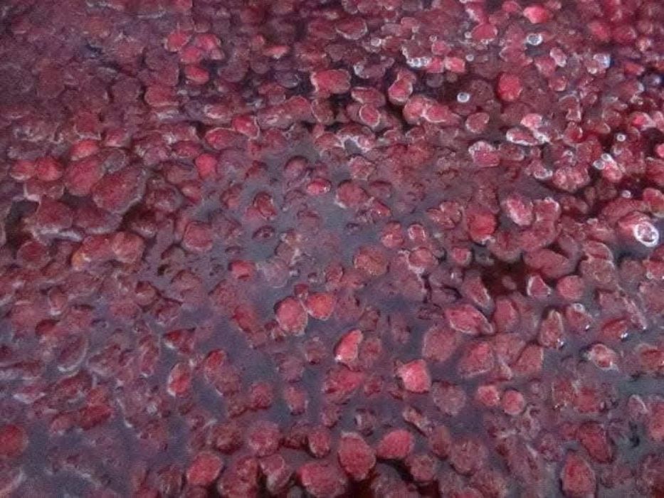 Домашно сладко от ягоди