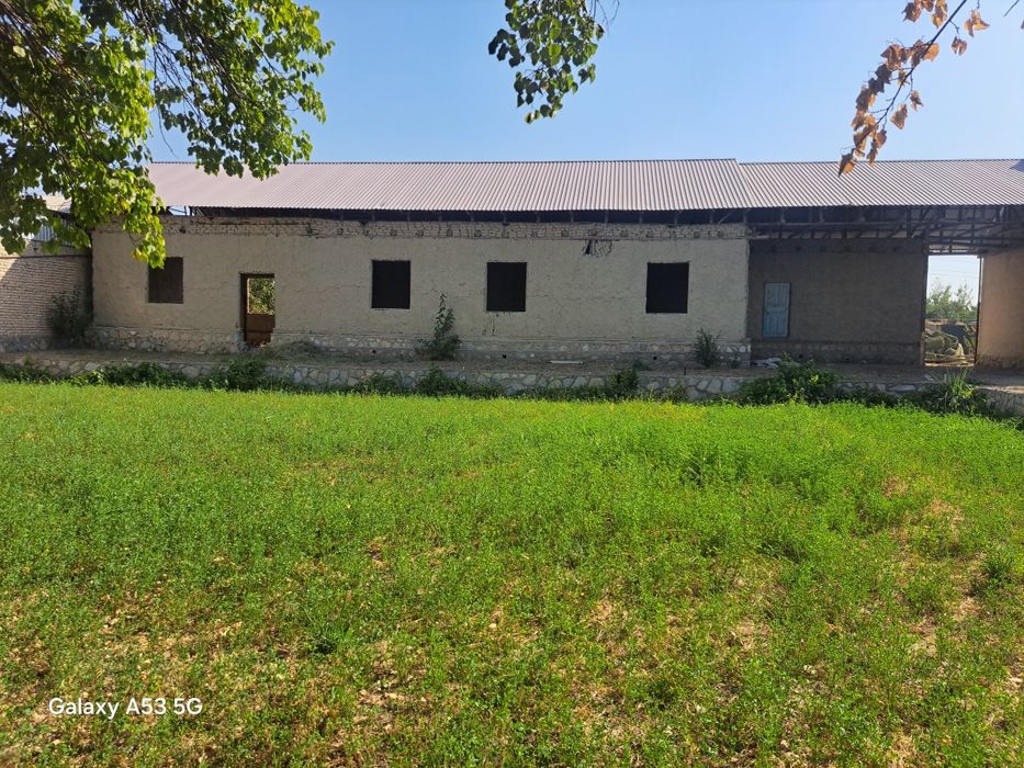 Uchastka 13 sotix Manzil:Buxoro viloyati Kogon tumani Xo'ja Yakshaba.