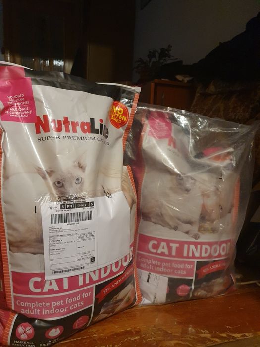 Mâncare uscată pentru pisici