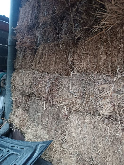 Продам сено в тюках