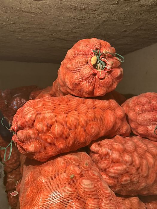 Продам картофель