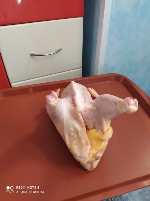 Куры Суповые Домашние