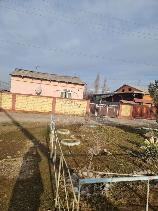 Куйчирчикский район С/Х Сергели