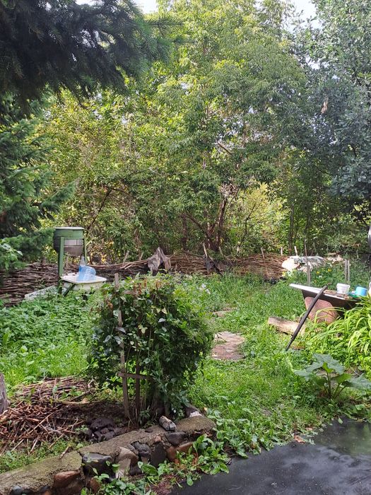 Продам пасеку дачу