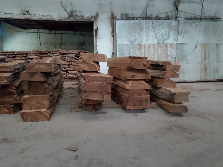 Карагач. Қарағаш