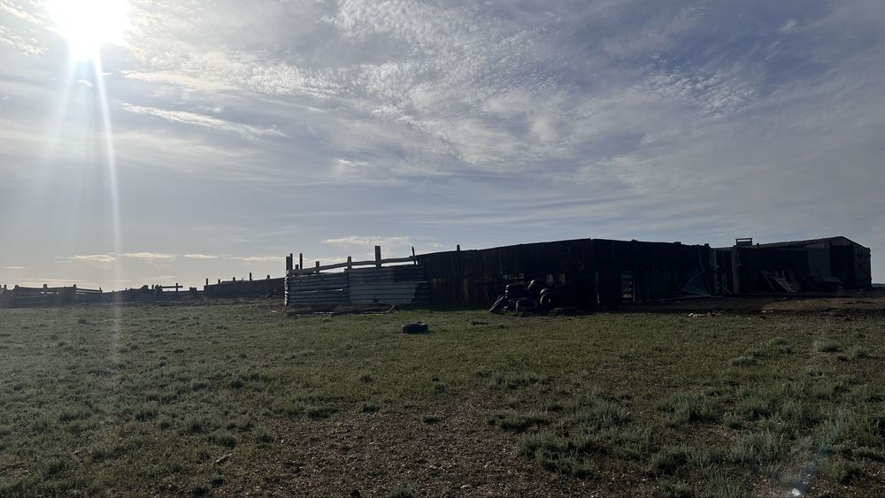 Ауыл шаруашылығы сатылады