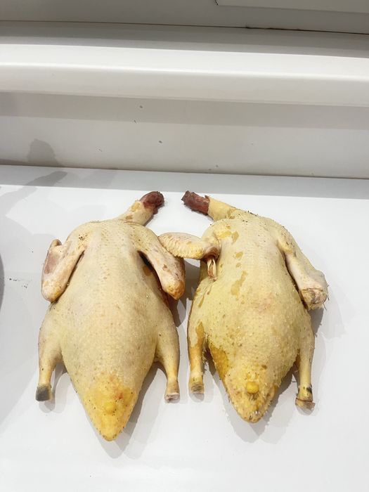 Индаутка тушка 3500 кг