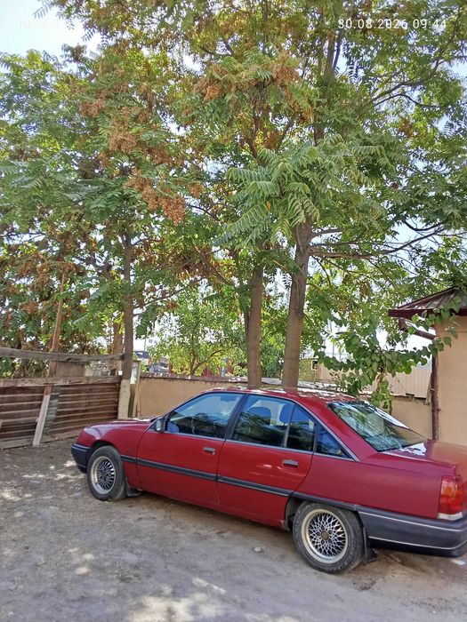 Opel Omega 1987, дизель