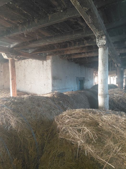 Vând clădire fost grajd CAP