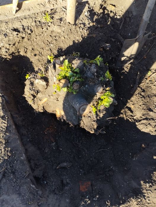 Уборка территории прополка огорода