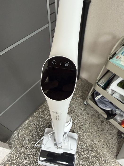 Rowenta X-Clean 10